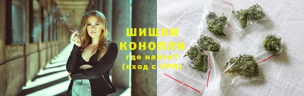 ГАЛЛЮЦИНОГЕННЫЕ ГРИБЫ Беломорск