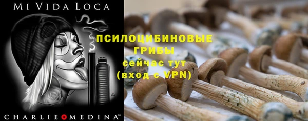 ГАЛЛЮЦИНОГЕННЫЕ ГРИБЫ Беломорск