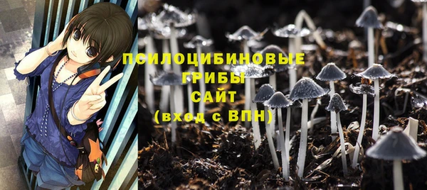 ГАЛЛЮЦИНОГЕННЫЕ ГРИБЫ Беломорск