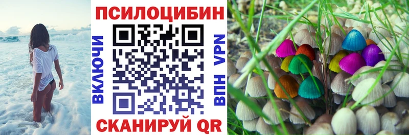 Псилоцибиновые грибы MAGIC MUSHROOMS Бузулук